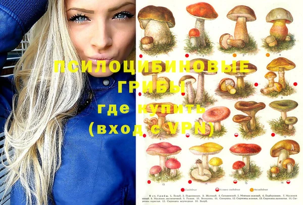 каннабис Абаза