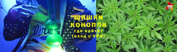 эйфоретик Няндома